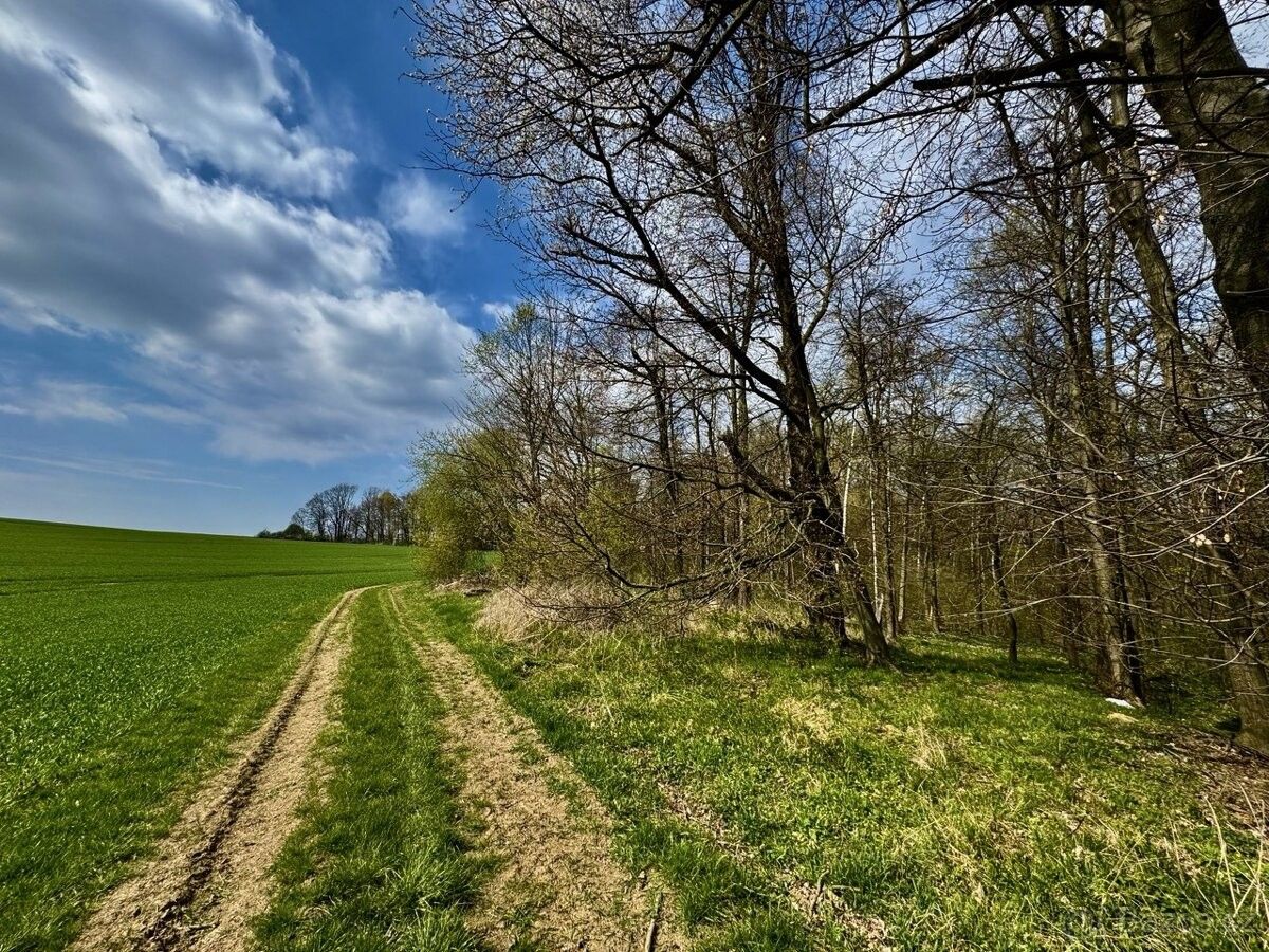 Prodej pozemek pro bydlení - Všechovice, 753 53