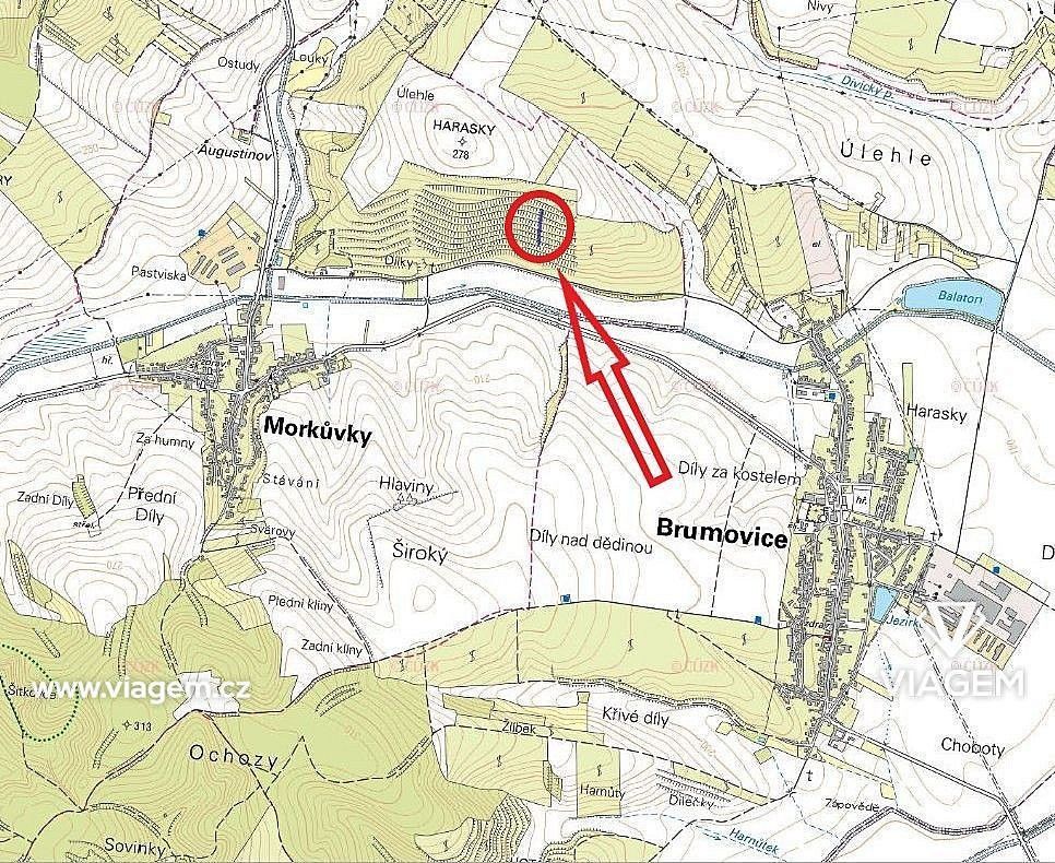 Zemědělský pozemek · Morkůvky, okres Břeclav - 4