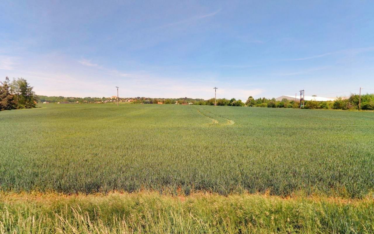 Prodej zemědělský pozemek - Dobrovice, 3 911 m²