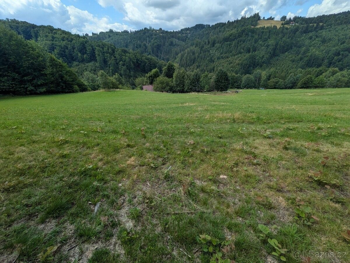 Pozemek pro bydlení · Bystřice nad Olší, 739 95 - 4