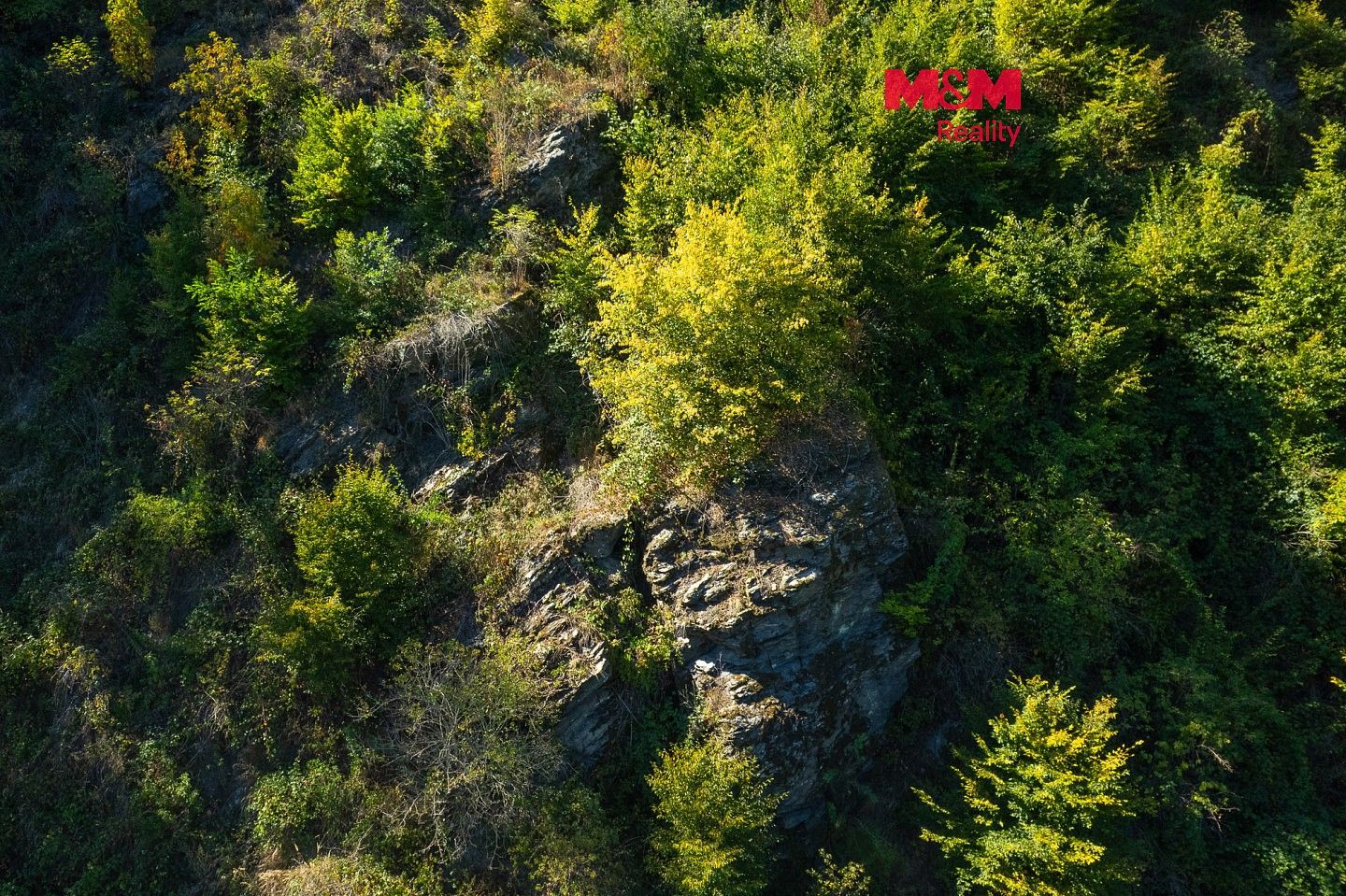 Lesy, Lomnice, okres Brno-venkov, Jihomoravský kraj - 1