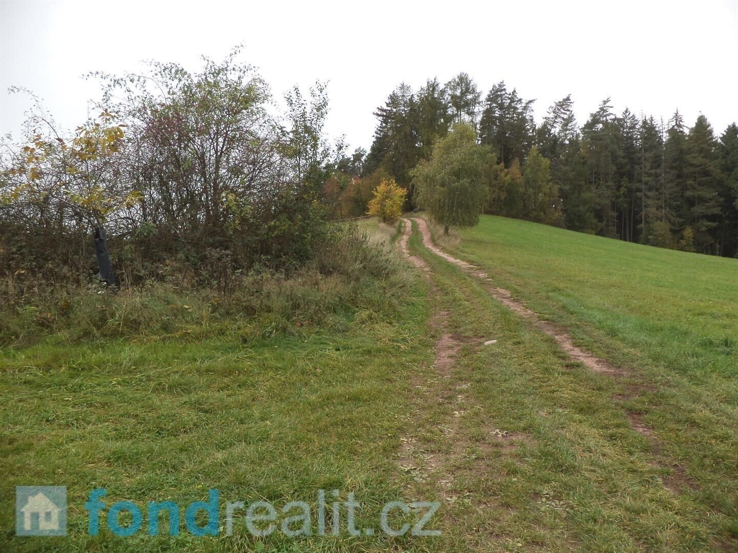 Prodej pozemek - Lázně Bělohrad, 2 376 m² - 5