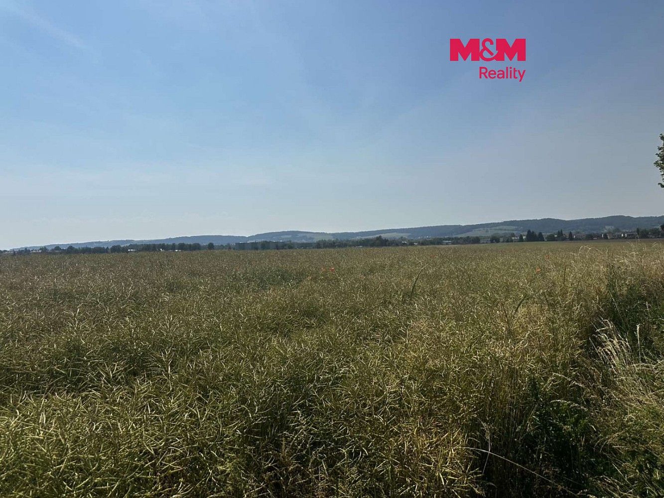 Zemědělské pozemky, Město Albrechtice, okres Bruntál, Moravskoslezský kraj - 1