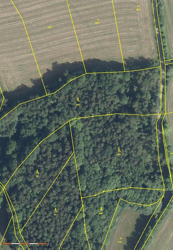 Prodej les - Zlatá Olešnice, okres Jablonec nad Nisou, Liberecký kraj - 2