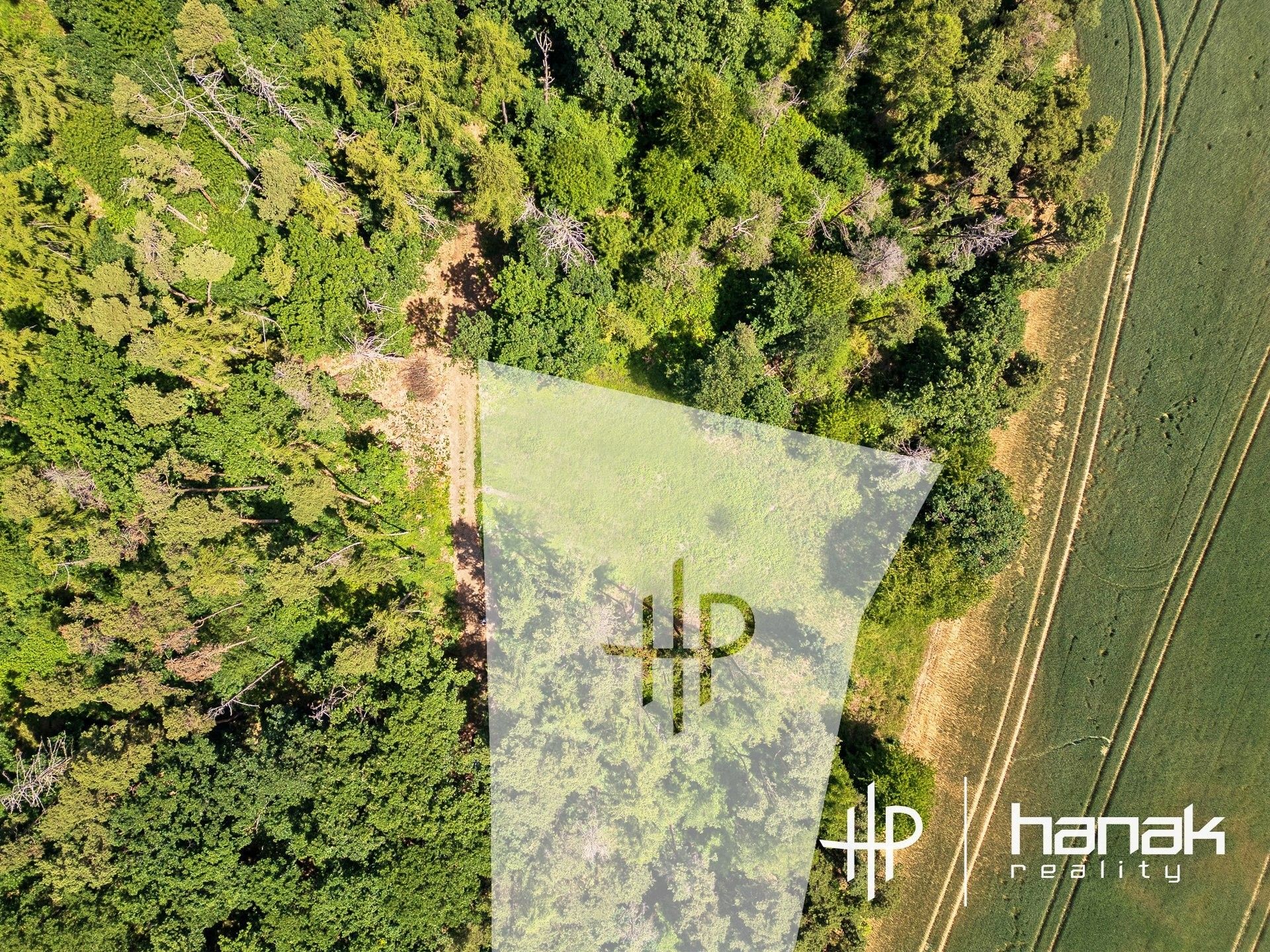 Rodinný dům · 127 m² · Hluchov - 4