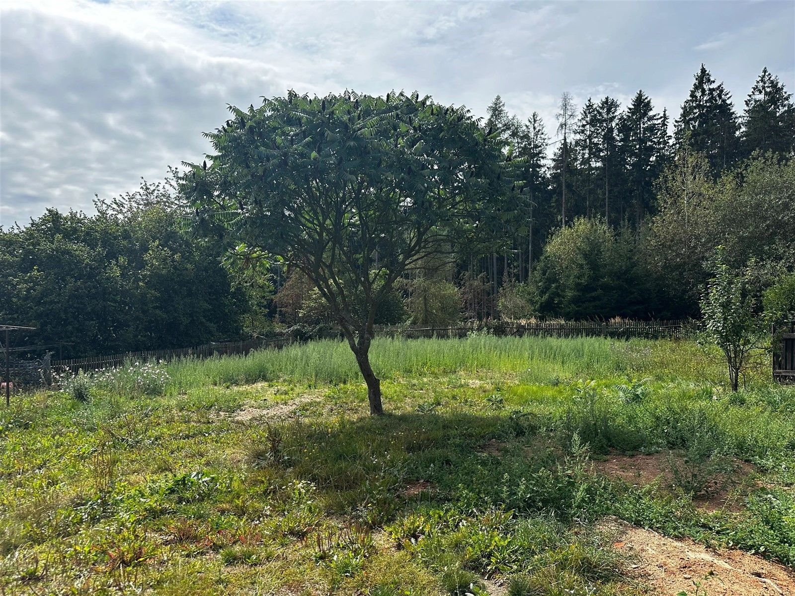 Prodej pozemek pro bydlení - Žežice, Příbram