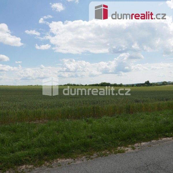 Zemědělský pozemek · 11 679 m² · Horní Bousov, Dolní Bousov - 4