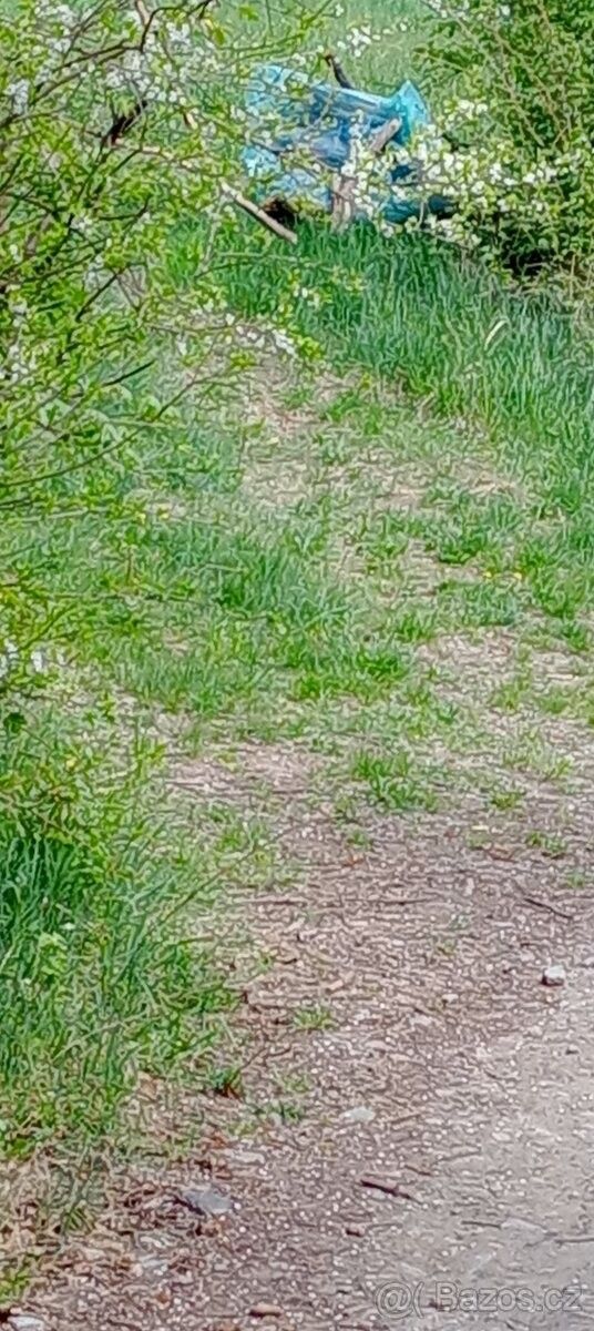 Prodej pozemek pro bydlení - Letovice, 679 61