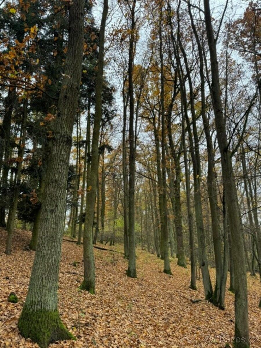 Pozemky pro bydlení, Přeštice, 334 01