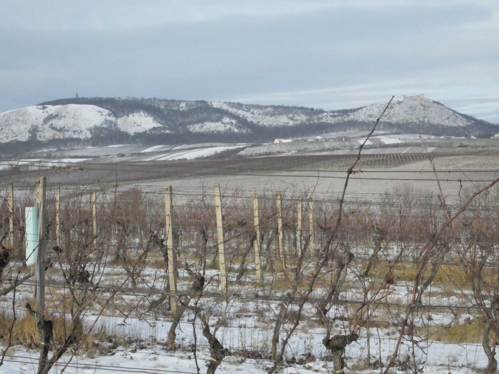 Pozemek · 8 406 m² · Milovice - 4