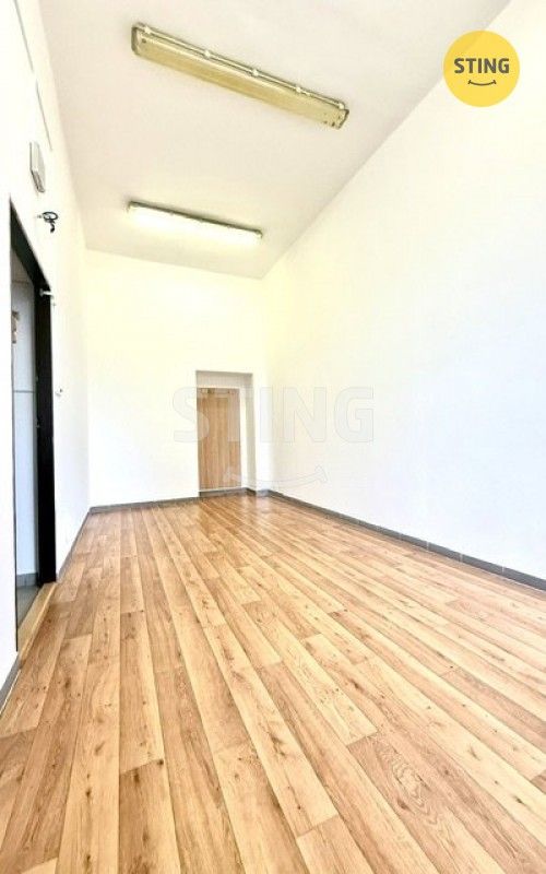 Kanceláře, Brněnská, Hodonín, 17 m²