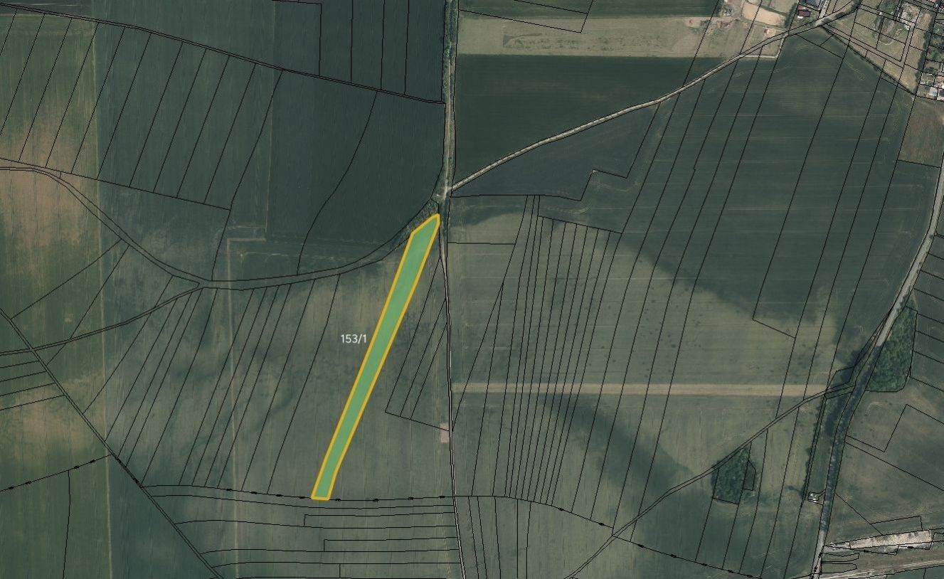Zemědělský pozemek, 6 007 m²