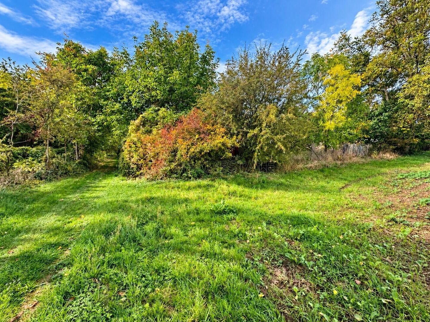 Zahrada · 823 m² · Medlov - 3