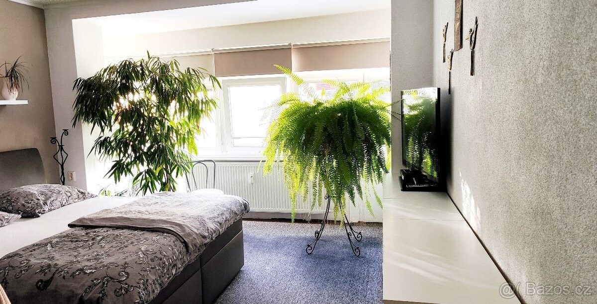 Byty, Náchod, 547 01