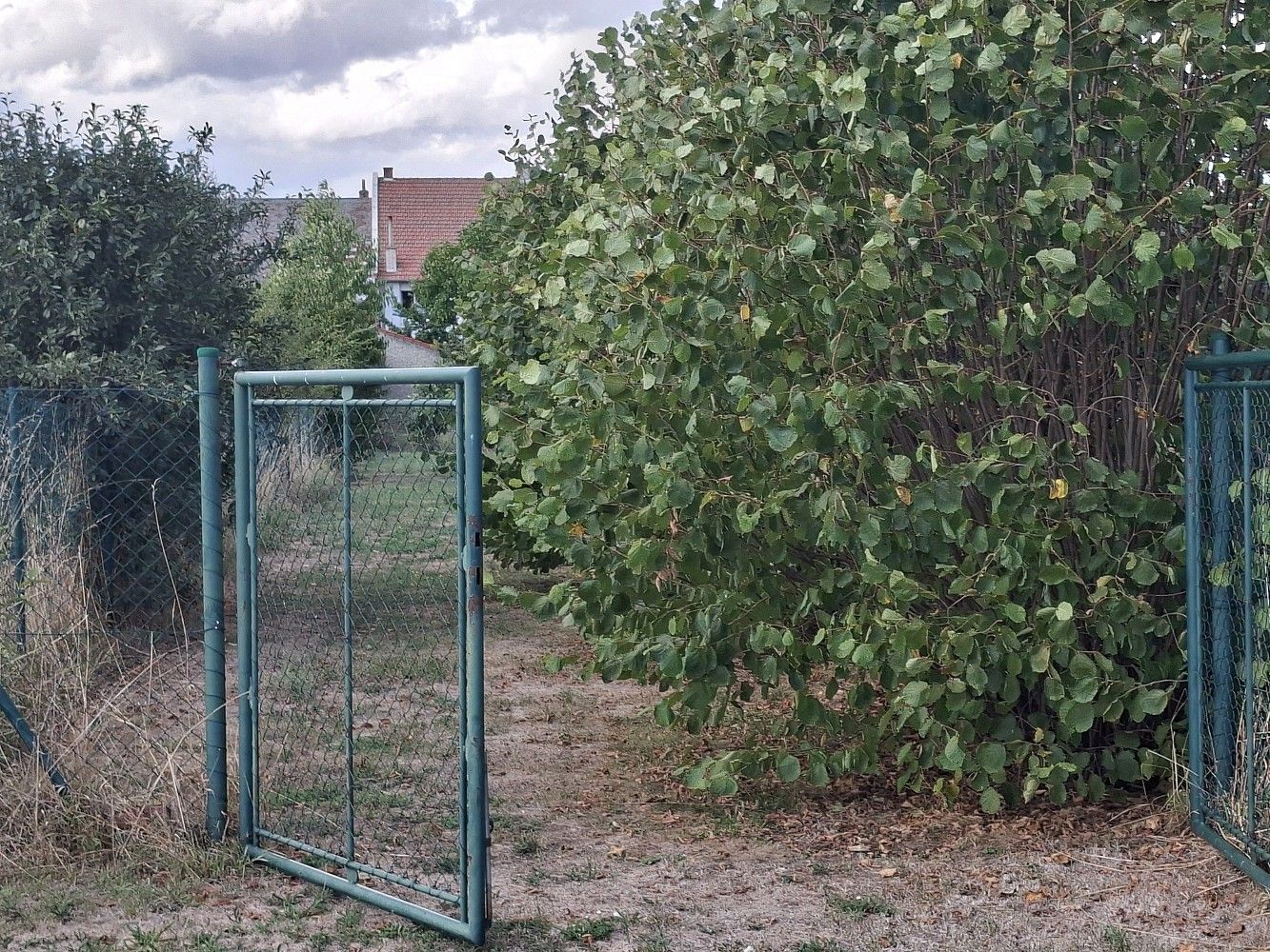 Zahrada · Troubky, okres Přerov, Olomoucký kraj - 3