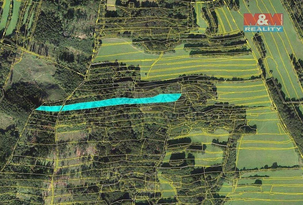 Les · Lešná, okres Vsetín, Zlínský kraj - 1