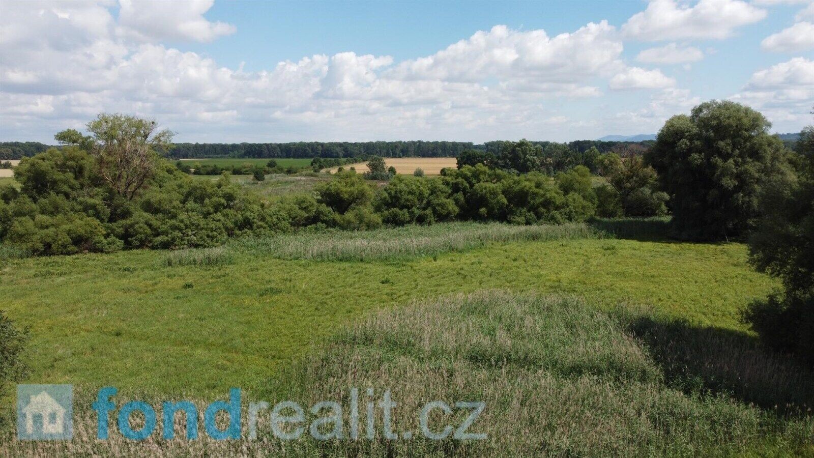 Louka · 2 388 m² · Střížovice - 3