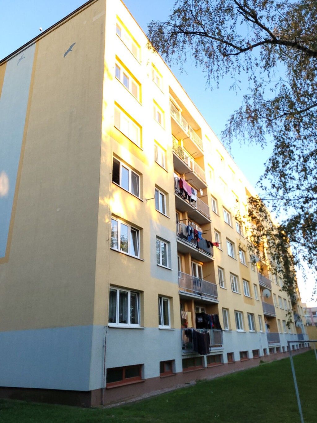Byt 4+1 · 66 m² · Družstevní, Pardubice Polabiny - 3