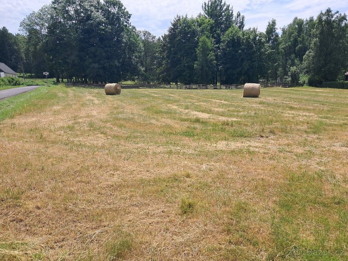 Pozemky pro bydlení, Rybniště, 407 51 - 1