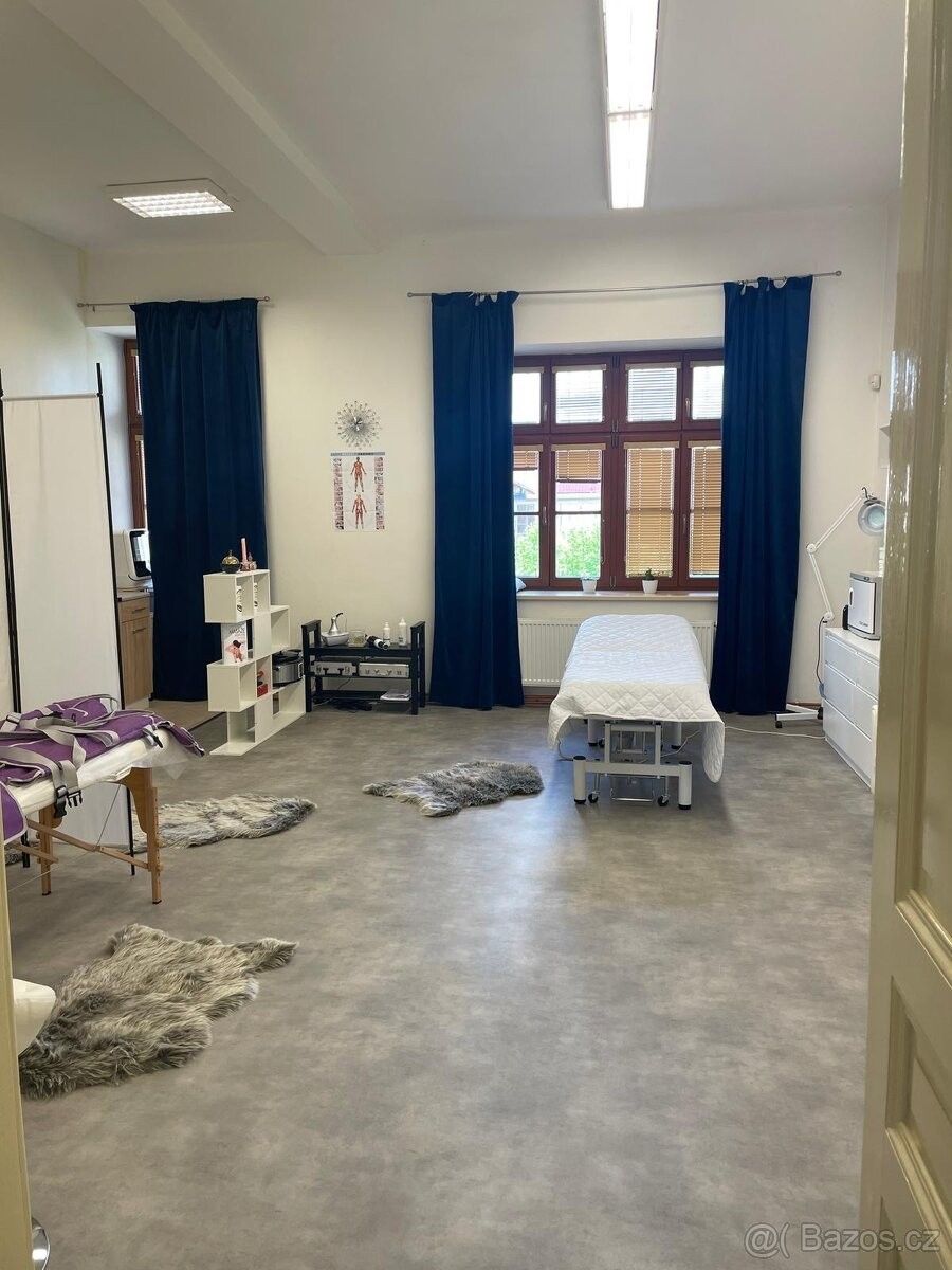 Obchodní prostory, Vysoké Mýto, 566 01