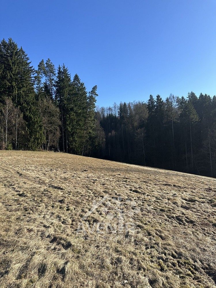 Louka · Bozkov, okres Semily, Liberecký kraj - 3
