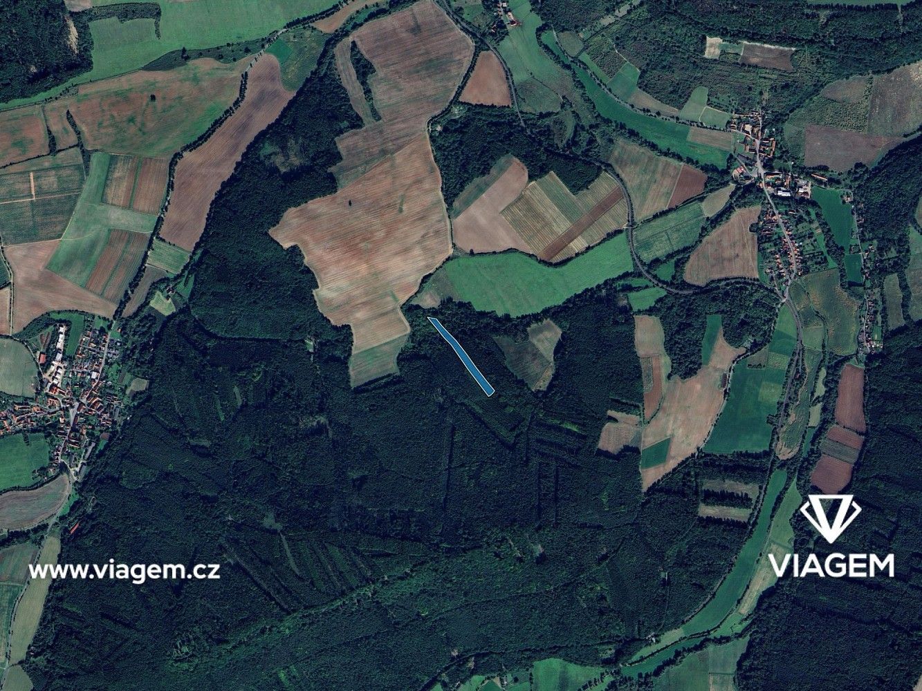 Les · Pnětluky, okres Louny, Ústecký kraj - 3