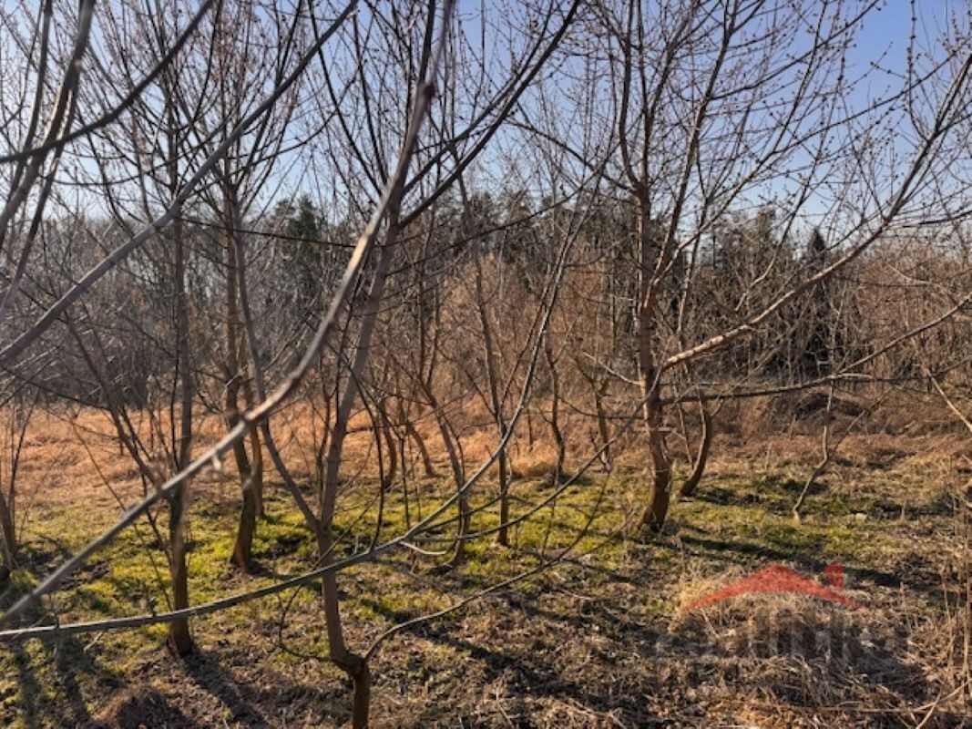 Prodej louka - Vršovice, 7 788 m²