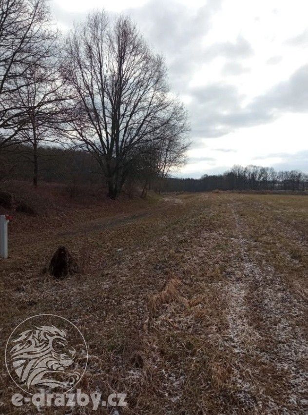 Prodej pozemek - Janovice nad Úhlavou, 4 609 m²