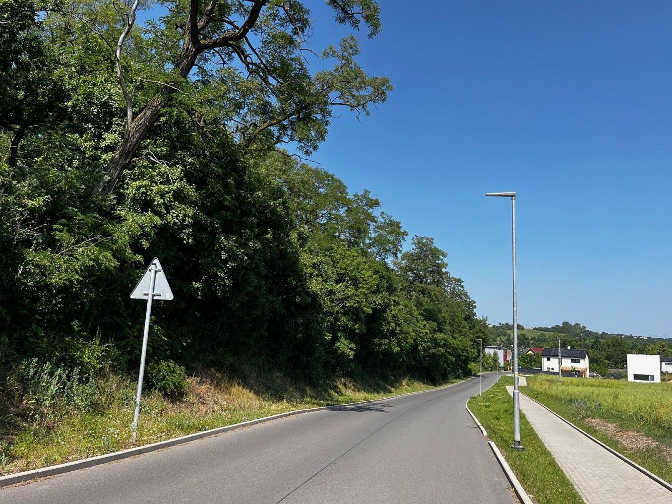 Lesy, Zdiby - Přemyšlení, okres Praha-východ, Středočeský kraj - 2
