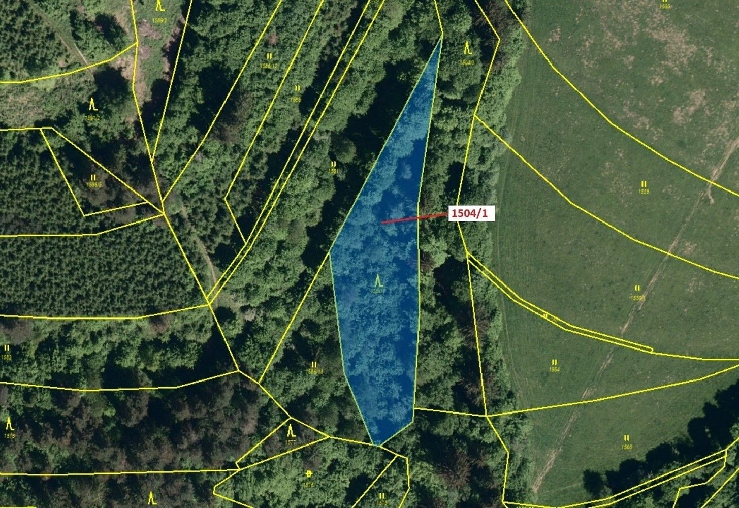 Prodej les - Hovězí, okres Vsetín, Zlínský kraj - 2