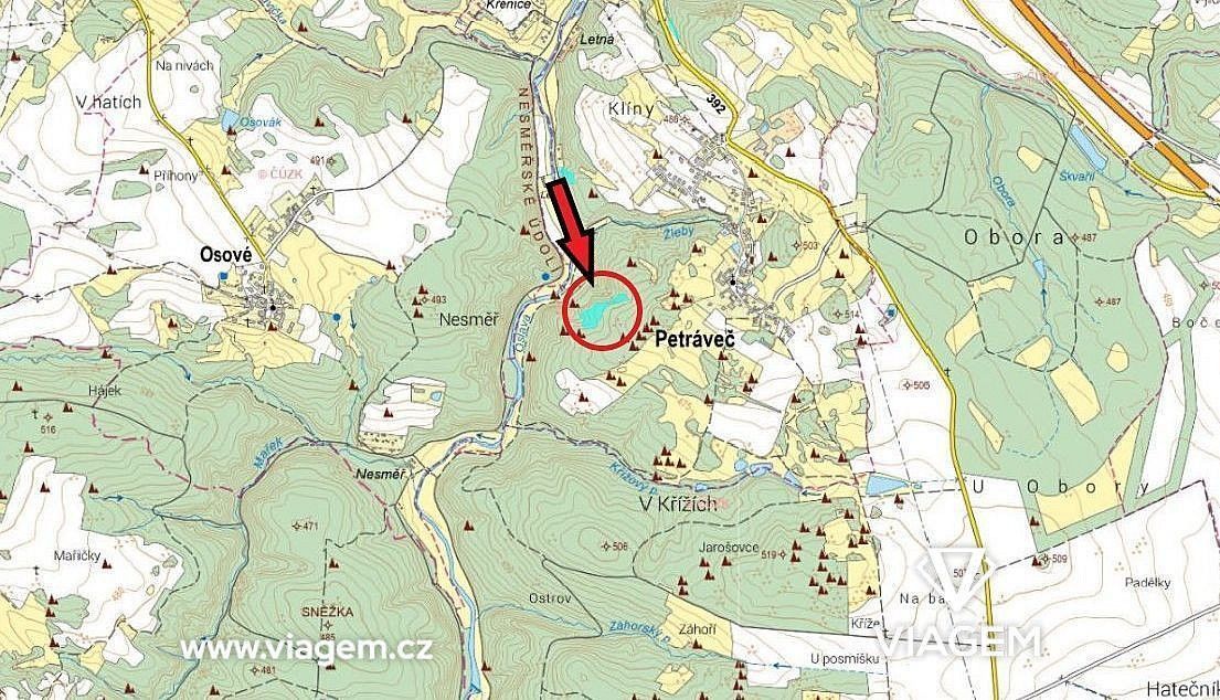Les · Petráveč, okres Žďár nad Sázavou, Kraj Vysočina - 3