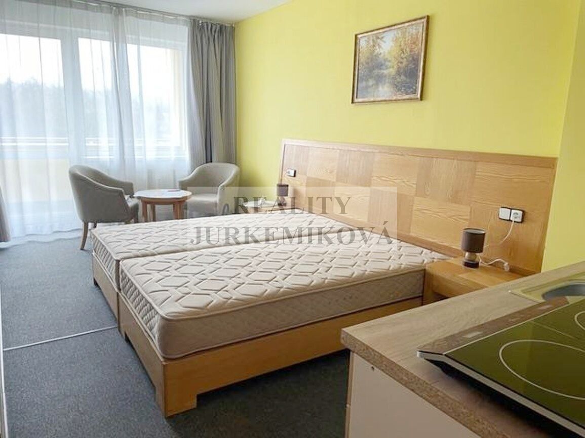 Prodej byt 1+kk - Frymburk, Český Krumlov, 30 m²