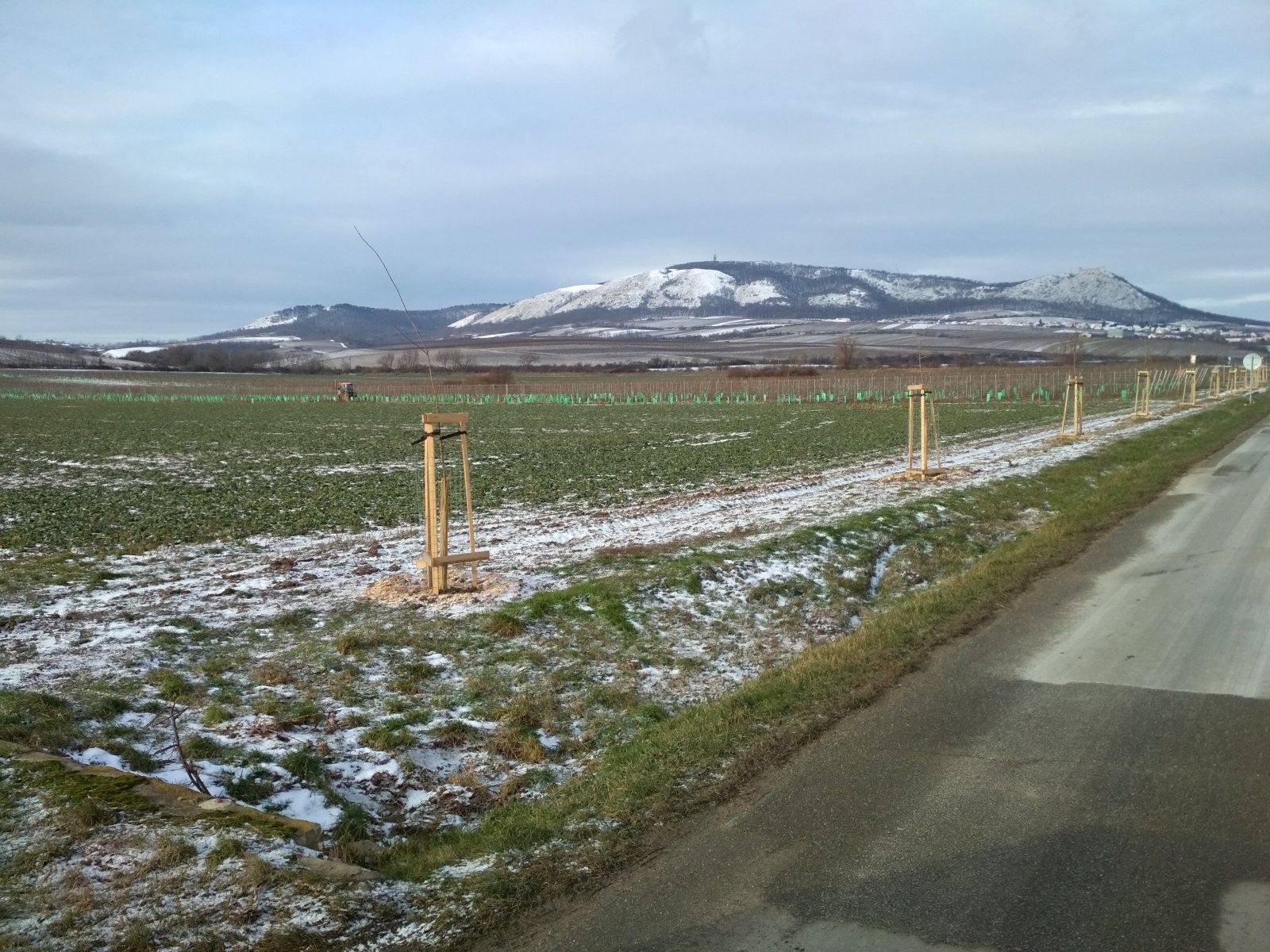 Pozemek · 29 901 m² · Milovice - 3