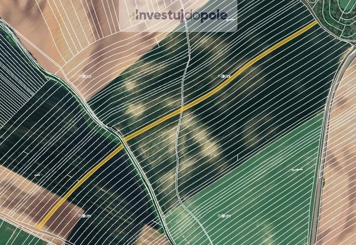 Zemědělské pozemky, Čejkovice