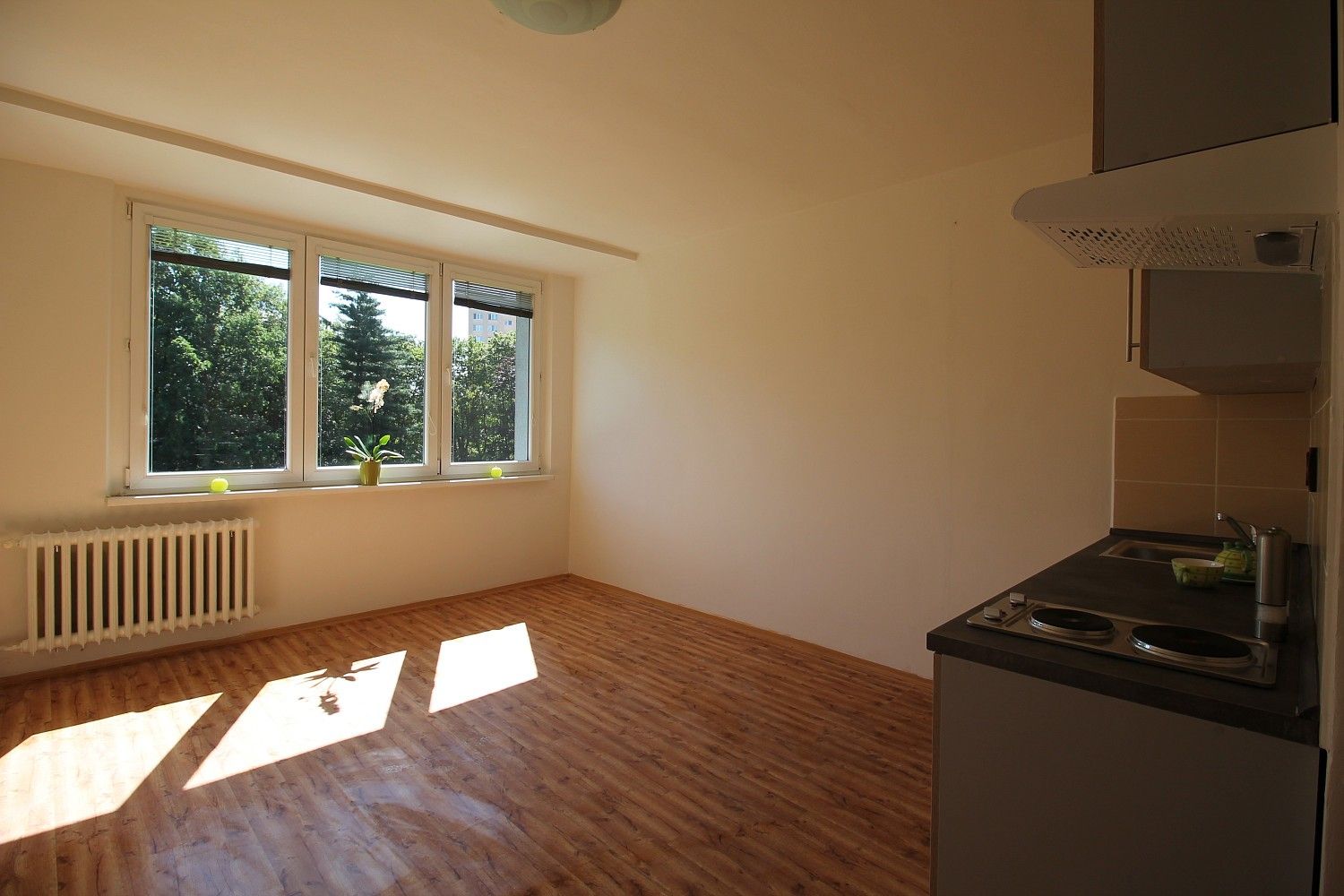 Byt 1+kk · 22,5 m² · Ostrava - Zábřeh, okres Ostrava-město, Moravskoslezský kraj - 3