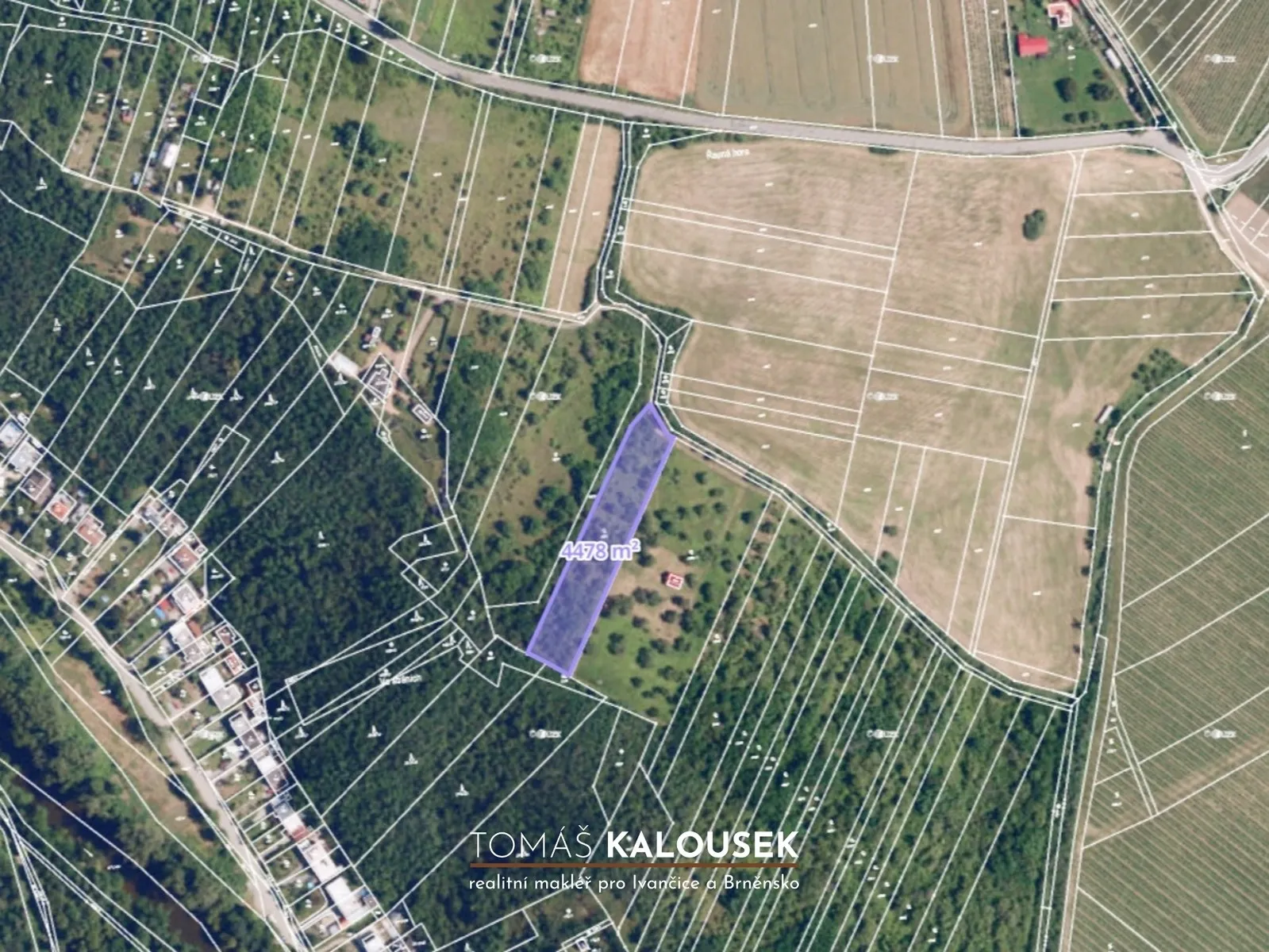 Ostatní