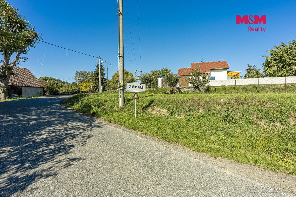 Pozemek pro bydlení · Zruč nad Sázavou, 285 22 - 3