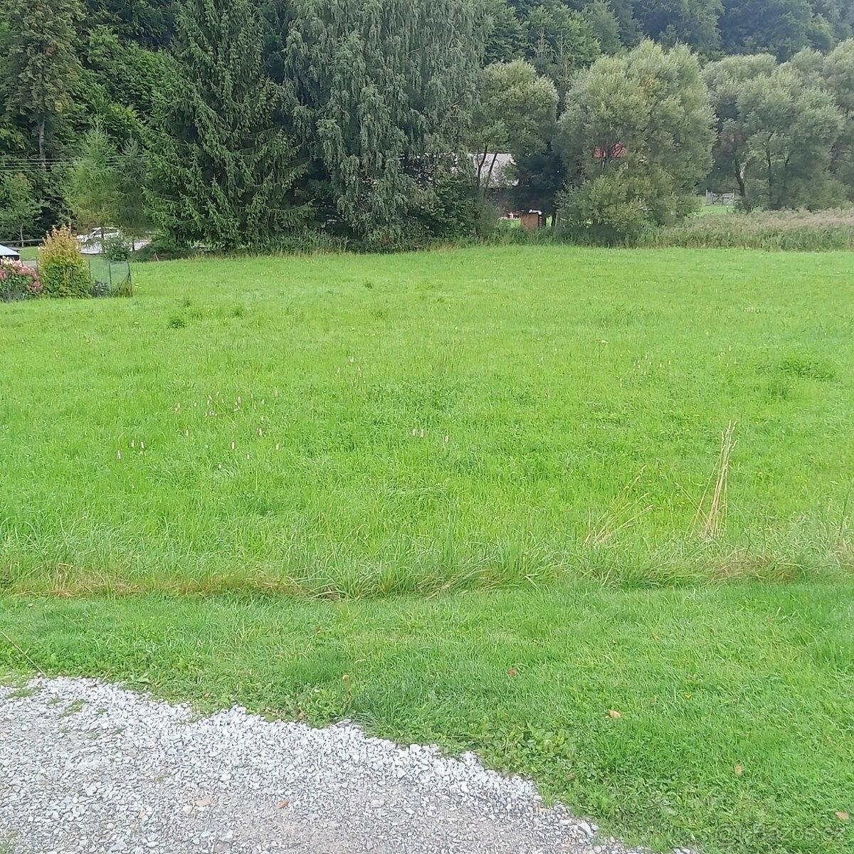 Prodej pozemek pro bydlení - Velké Losiny, 788 15