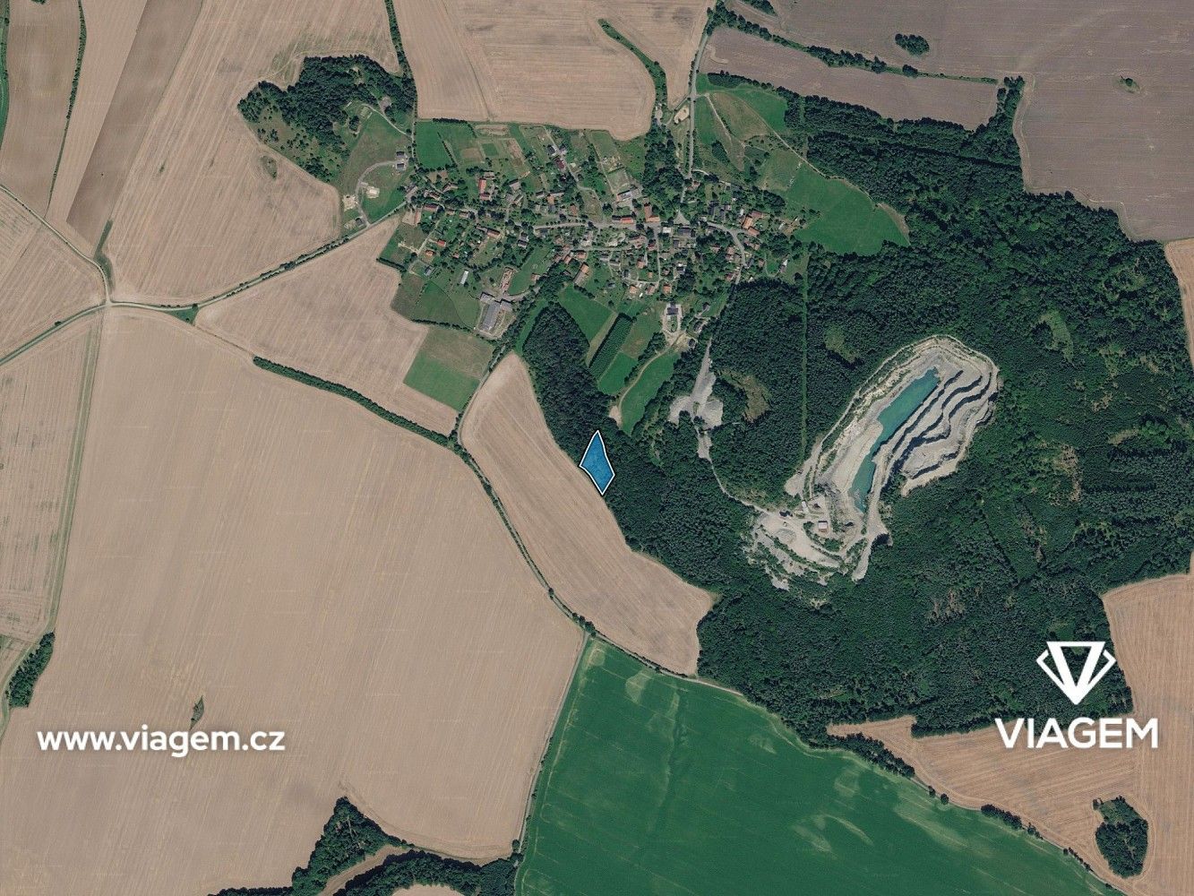 Les · Tachov, okres Česká Lípa, Liberecký kraj - 3