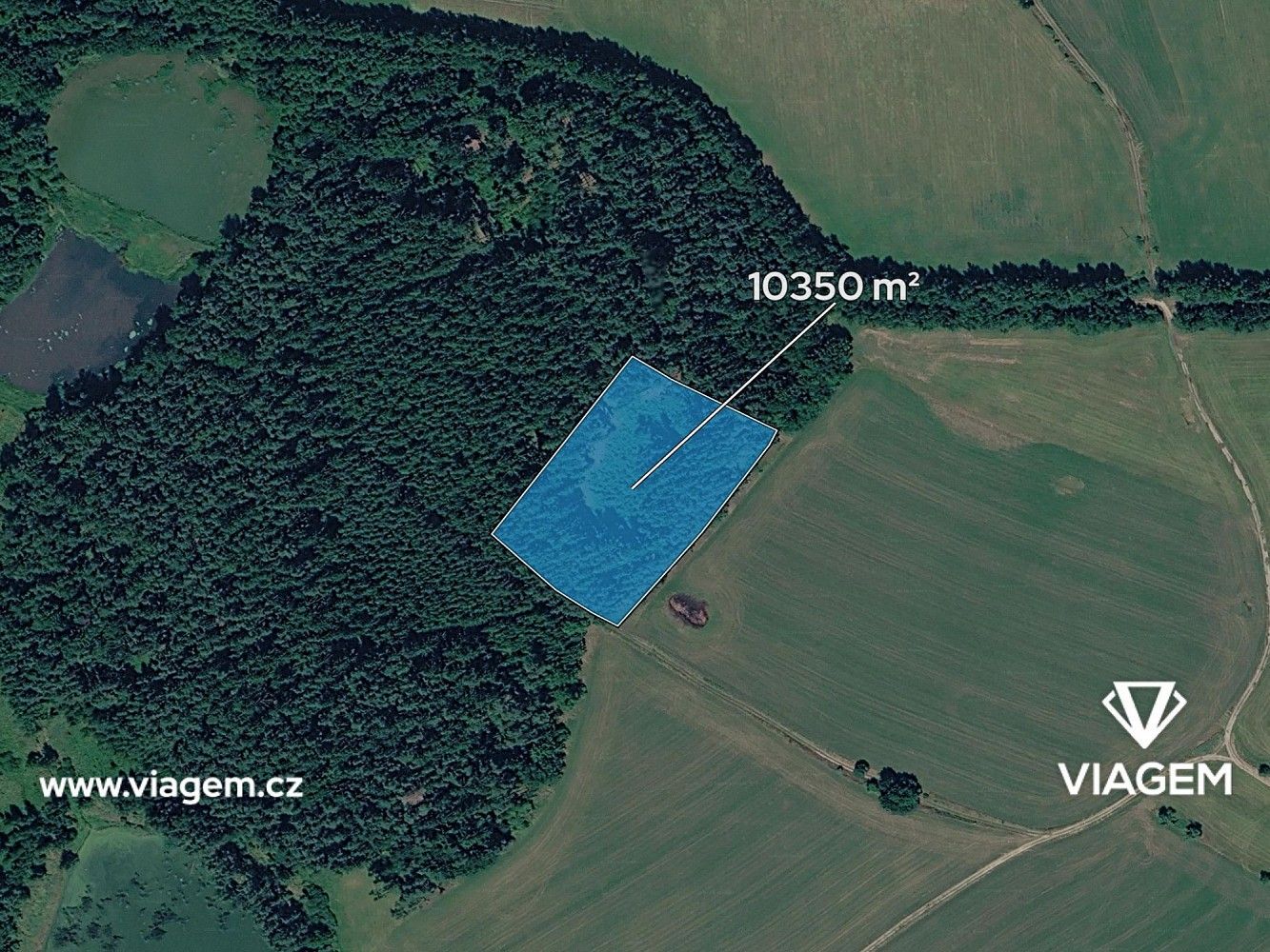 Les · Kardašova Řečice, okres Jindřichův Hradec, Jihočeský kraj - 2