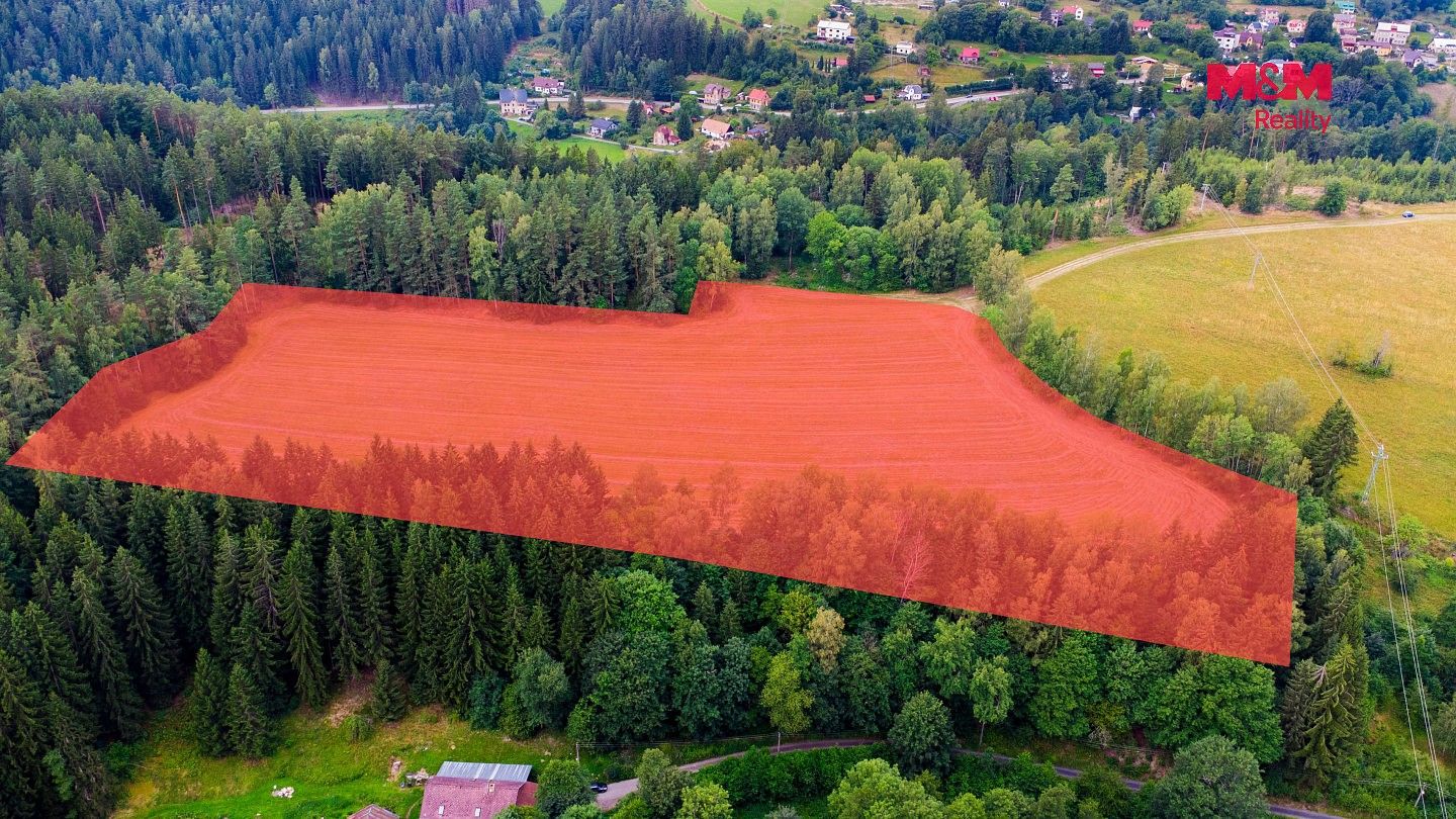 Louka · Loužnice, okres Jablonec nad Nisou, Liberecký kraj - 3