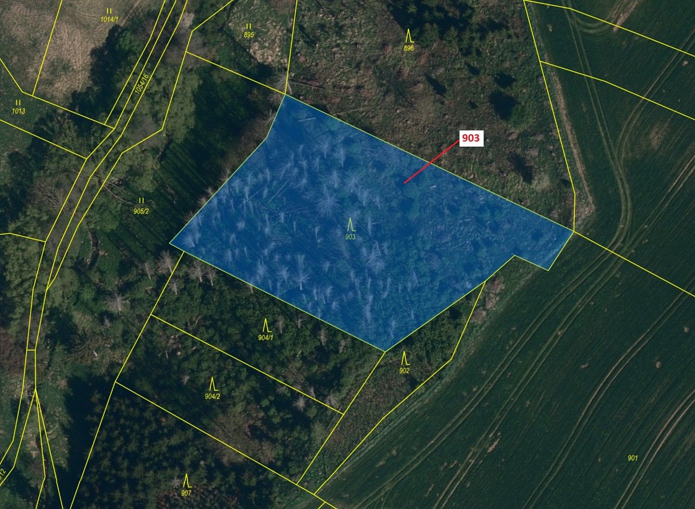 Prodej les - Puklice, okres Jihlava, Kraj Vysočina - 2