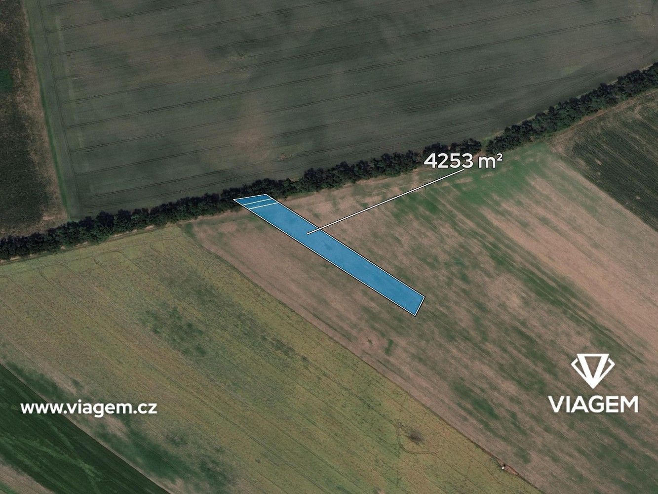 Zemědělské pozemky, Prušánky, okres Hodonín, Jihomoravský kraj - 2