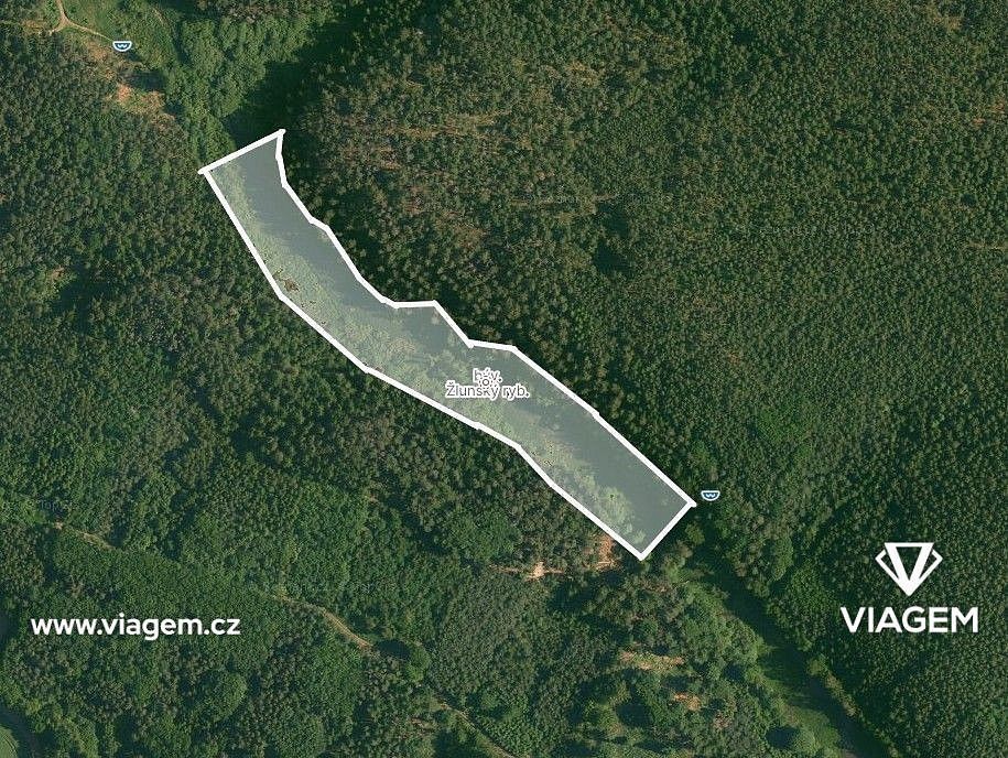 Prodej les - Kněžmost, okres Mladá Boleslav, Středočeský kraj - 2