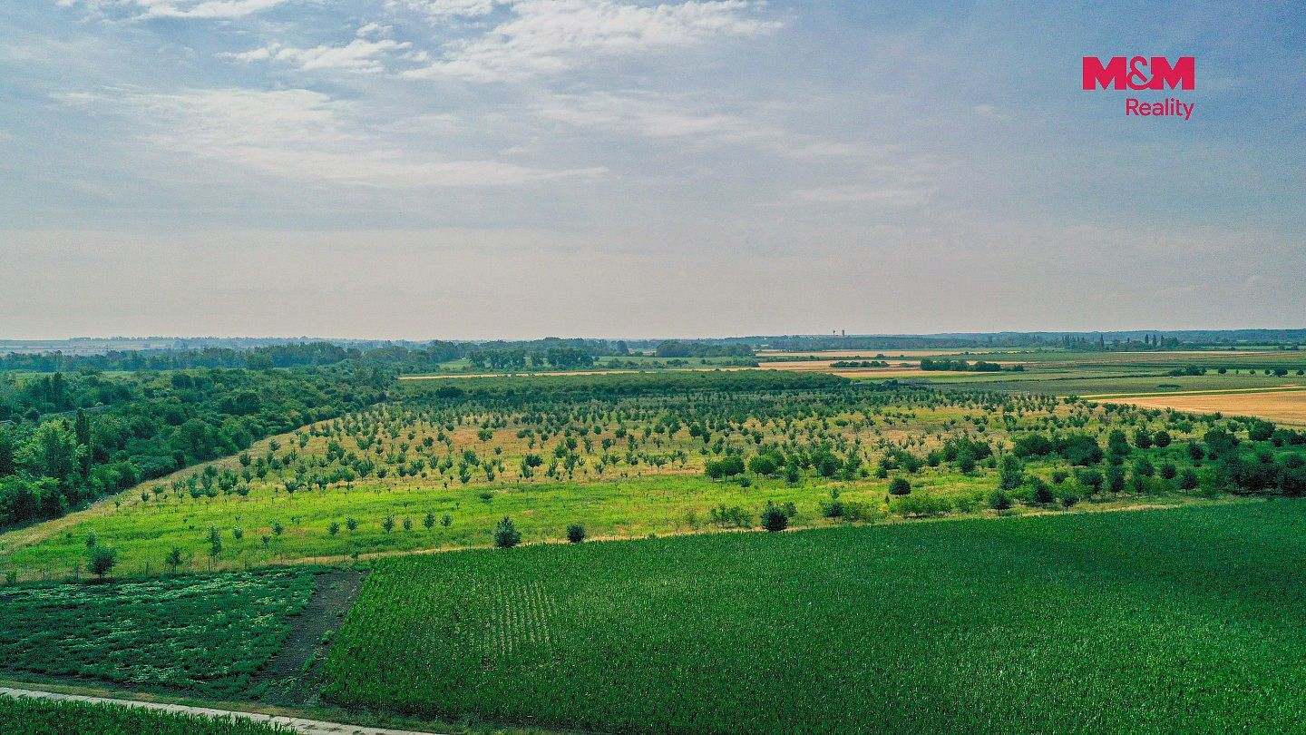 Prodej zemědělský pozemek - Rakvice, okres Břeclav, Jihomoravský kraj - 5