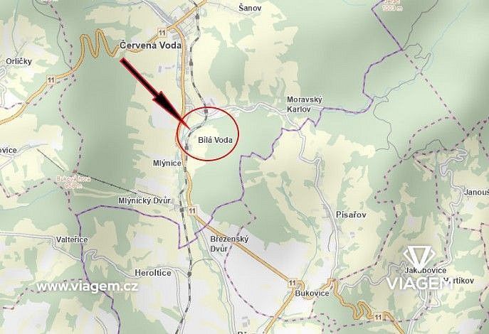 Prodej zemědělský pozemek - Červená Voda, okres Ústí nad Orlicí - 5