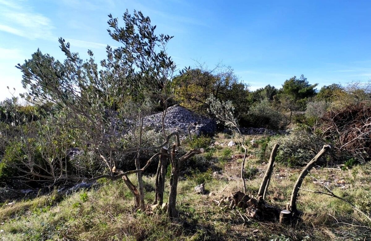 Prodej pozemek pro bydlení - Uherské Hradiště, 686 01