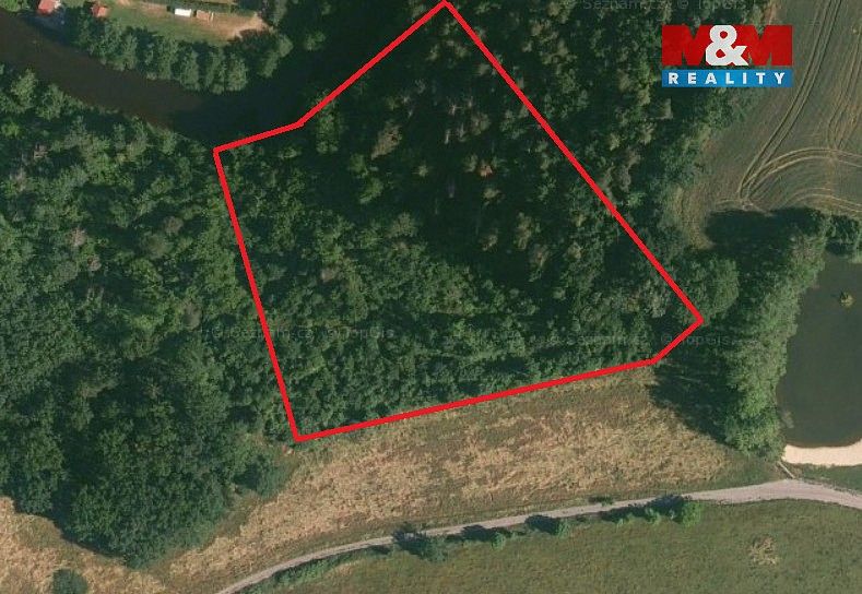 Lesy, Římov - Branišovice, okres České Budějovice, Jihočeský kraj - 2