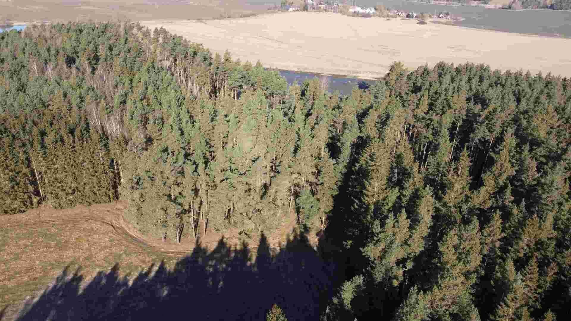Pozemek · 4 563 m² · Tisová Kumpolec - 3