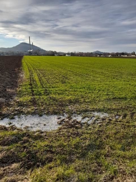 Pronájem zahrada - Kopřivnice, 700 m²